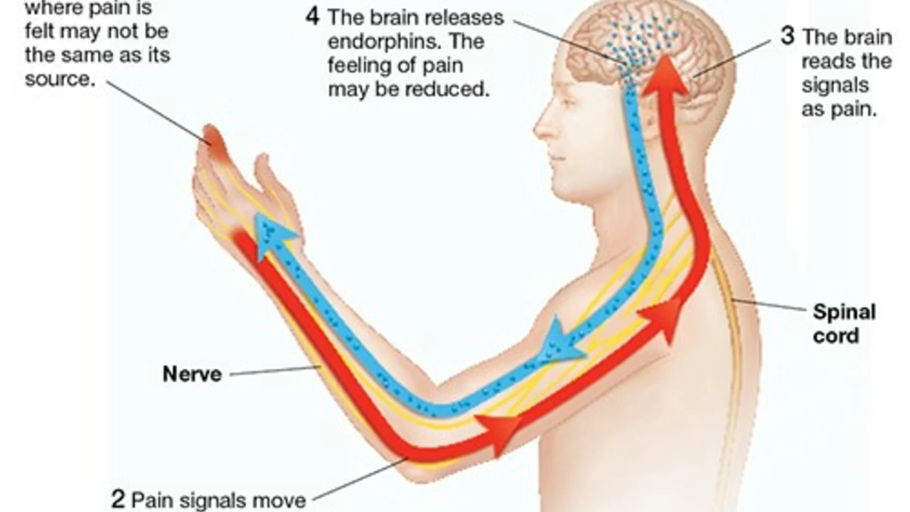 Choline Salicylate Lignocaine: A Holistic Approach to Pain Relief