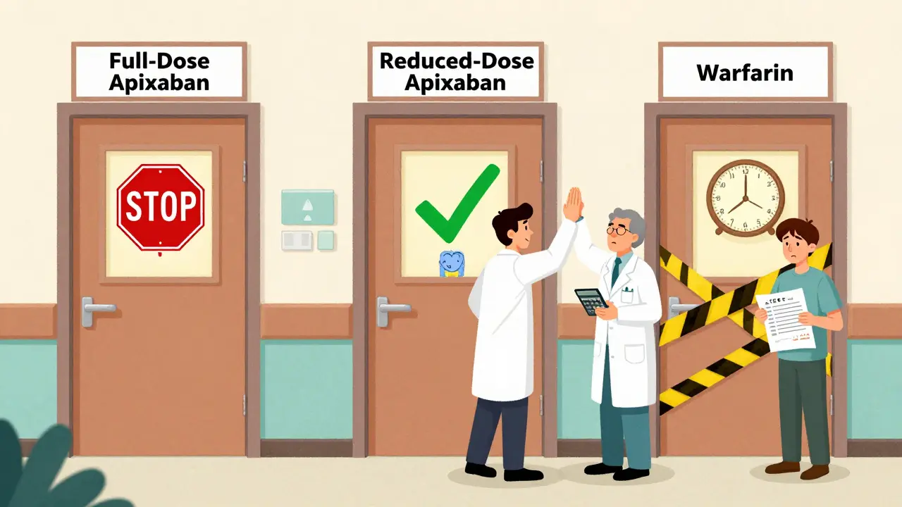 Three hospital doors: wrong apixaban dose with stop sign, correct reduced dose with checkmark, warfarin with vintage clock.